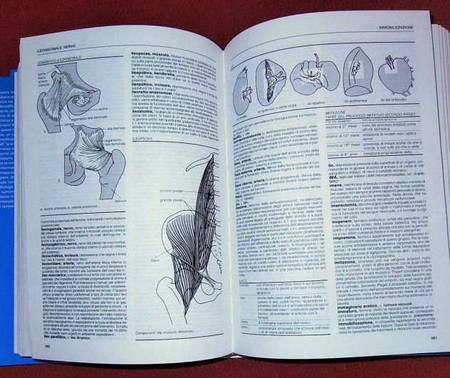 Enciclopedia della Medicina , De Agostini. - Foto 3