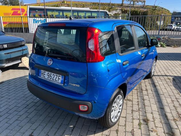 FIAT Pandina Pandina 1.0 firefly hybrid Icon s&s 65cv - Foto 8