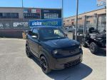 LIGIER Myli DCI Euro 5 + Lab Plus rif. 24022179
