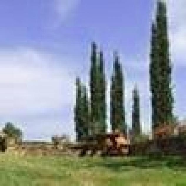 Fattoria Poneta di Filippo Maria Daidone - Foto 4