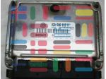 0261206618 021906018Q Volkswagen Bora centralina motore Bosch