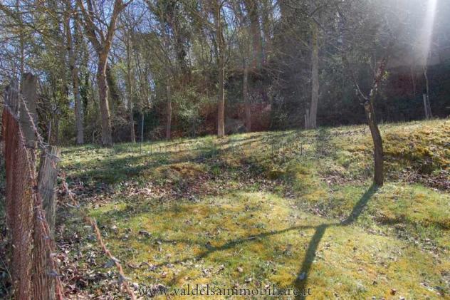 Terreno agricolo in vendita a Colle di Val d'Elsa 39500 mq Rif: 897479