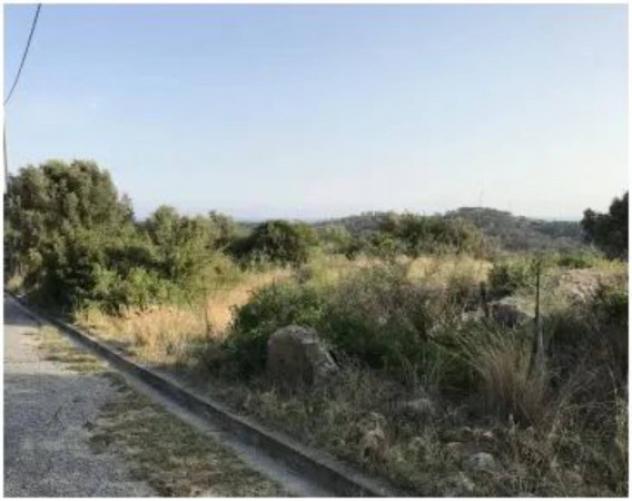 Immobile in asta di 32550 m² in vendita a Ferruzzano - Foto 8