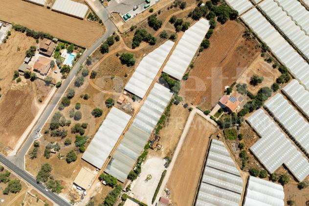 Terreno Agricolo - Santa Croce Camerina . Rif.: Cod. rif 3314731VRG - Foto 8