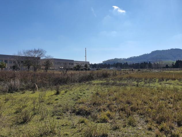 Industriale in vendita a Caraffa di Catanzaro - Foto 3