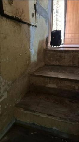 Immobile in asta di 67 m² in vendita a Santeramo in Colle - Foto 13