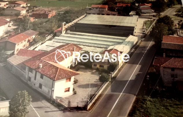 Azienda di floricoltura a Pozzuolo del Friuli