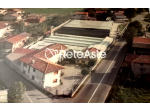 Azienda di floricoltura a Pozzuolo del Friuli