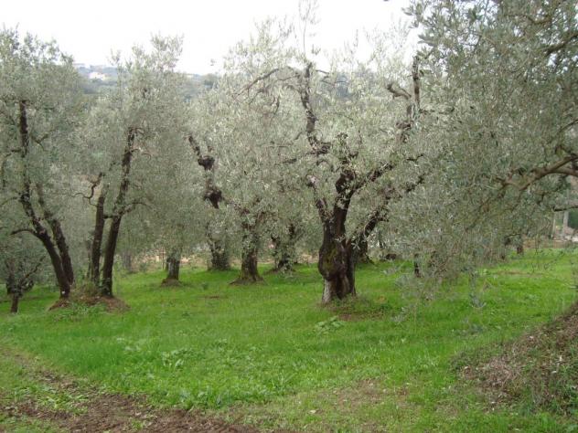 Rustico in vendita a Lamporecchio 75 mq Rif: 587527 - Foto 9