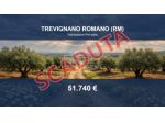 Immobile in asta di 114275 m² in vendita a Trevignano Romano