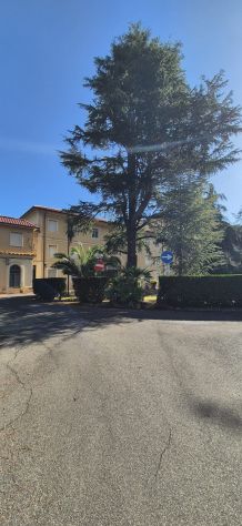 appartamento in vendita a Roma in zona Trionfale