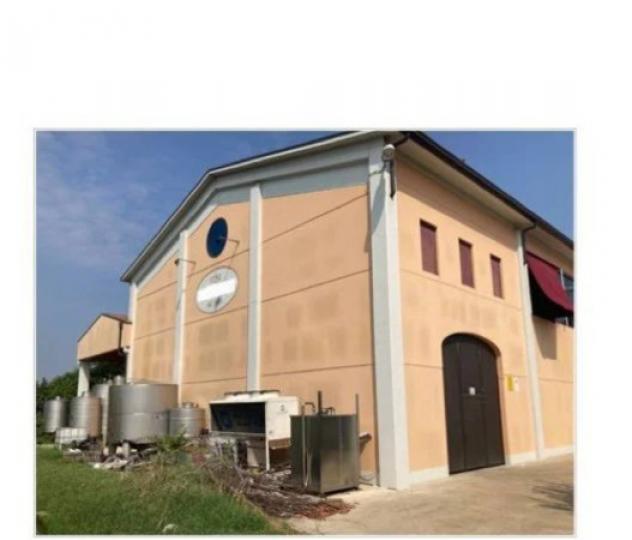 Immobile in asta di 687 m² in vendita a Ravarino - Foto 4