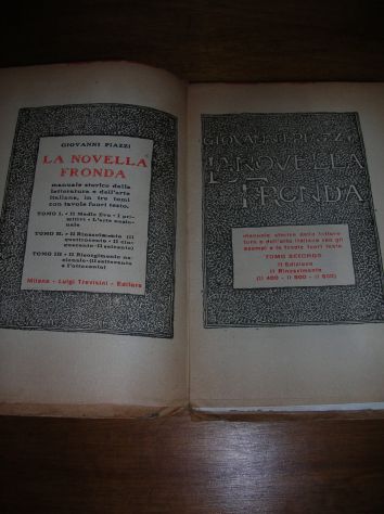 LA NOVELLA FRONDA (TOMO II) - Foto 2