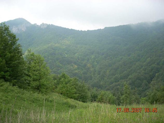 fondo bosco ex malga - Foto 3
