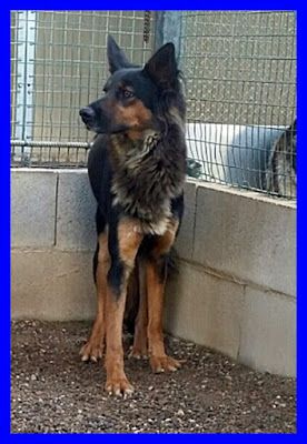 KITANA, SPLENDIDA MIX LUPETTA CERCA CASA - Foto 5