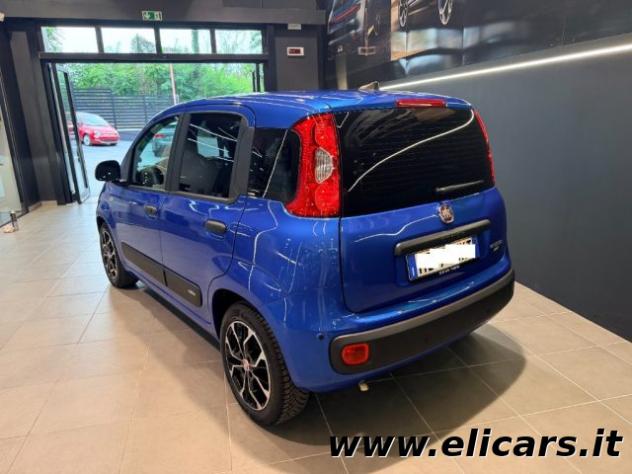FIAT Pandina 1.0 FireFly 65 CV Hybrid Icon rif. 24208039 - Foto 7