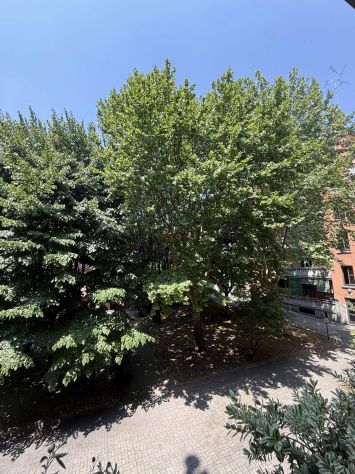 Bilocale ristrutturato con balcone e cantina- M5 - Foto 7
