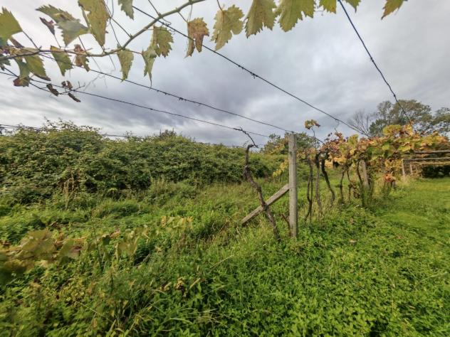 terreno agricolo in vendita a Carrara in zona Battilana