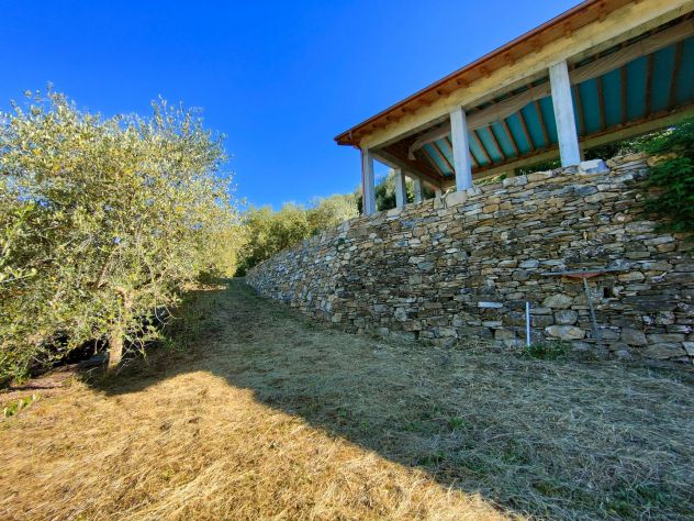 V22 Lucinasco cemento armato per villetta circondata dagli ulivi - Foto 5