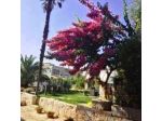 Ape Rossa B&B