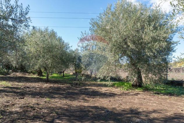 Terreno in vendita a Camporotondo Etneo - Foto 17