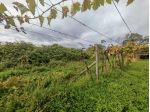 Terreno agricolo in vendita a Avenza - Carrara 2877 mq  Rif: 1427124