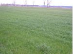 Terreno agricolo in vendita a Bolgheri - Castagneto Carducci 10000 mq  Rif: &hellip;