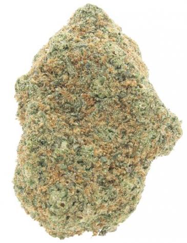 Gorilla Glue