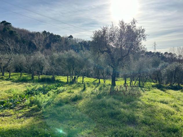 Porzione di casa in vendita a Castelnuovo Magra - Foto 7