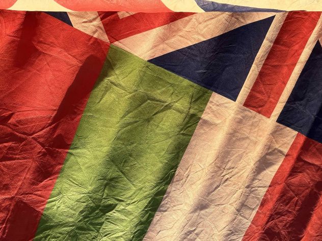Pelle stampata bandiera Inglese e Bolivia - Foto 4