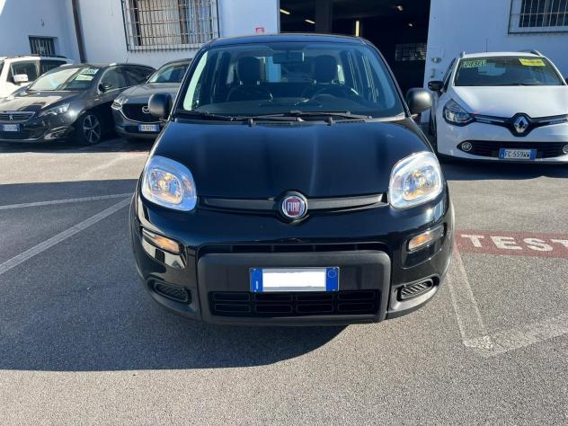 FIAT Panda Panda 1.0 FireFly S&S Hybrid - Foto 2