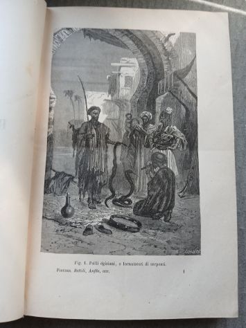 RETTILI, PESCI E ANIMALI ARTICOLATI, Ed. F.lli Treves 1891. - Foto 5