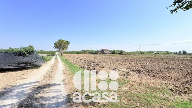 CASALE CON PERTINENZE - Foto 18