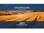 Immobile in asta di 2203 m² in vendita a Stellanello
