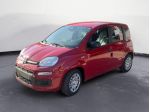 FIAT Pandina 1.0 FireFly 65cv S&S 6m Hybrid Icon