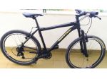 Bici in alluminio coppi ammortizzata 26