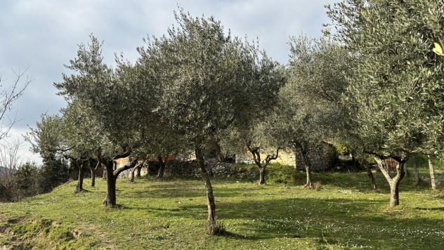 Rustico/Casale/Corte - Alatri . Rif.: Cod. rif 3297841VRG - Foto 7