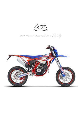 BETAMOTOR RR 125 MOTARD R rif. 20998534