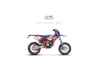 BETAMOTOR RR 125 MOTARD R rif. 20998534