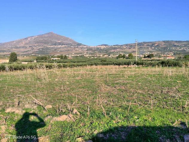 Uliveto in vendita a Valderice - Foto 3