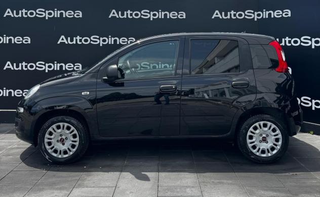 FIAT Panda 1.2 69cv S&S E6d-Temp Easy #5°posto #vetriprivacy - Foto 3