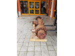 Ponte POSTERIORE USATO EUROCARGO 4X4