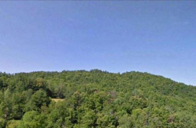 Immobile in asta di 37000 m² in vendita a Ferriere - Foto 8