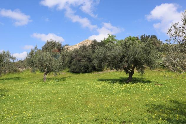 Terreno in vendita a Vittoria - Foto 4