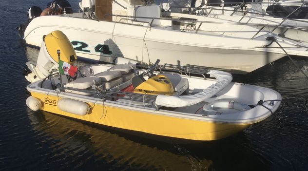 Boston Whaler 110 Sport - Foto 3