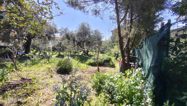 Terreno Agricolo - Iglesias . Rif.: Cod. rif 3303397VRG - Foto 5