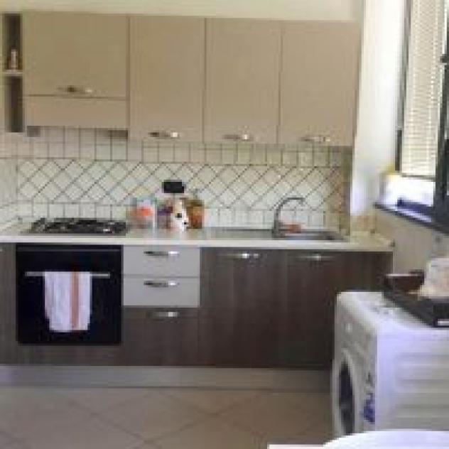 Gli Ulivi di Eolo S.a.s. di Linda Pagano & C. - Foto 4