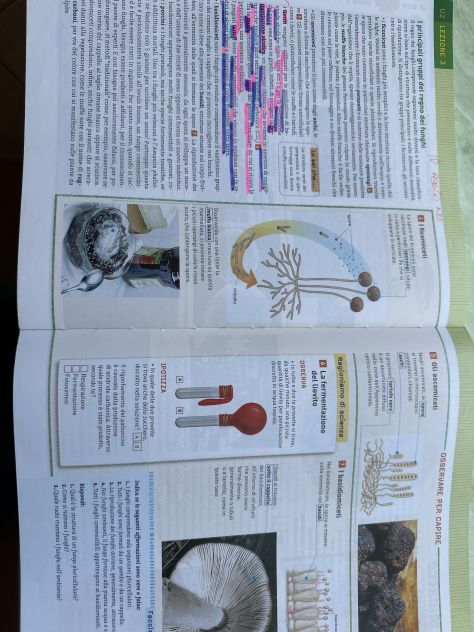 Naturalmente 1 (libro scienze scuola secondaria di 1 grado) - Foto 3