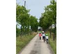 Cercasi aiuto domestico e stiro per agosto – San Biagio di Callalta (San Martino
