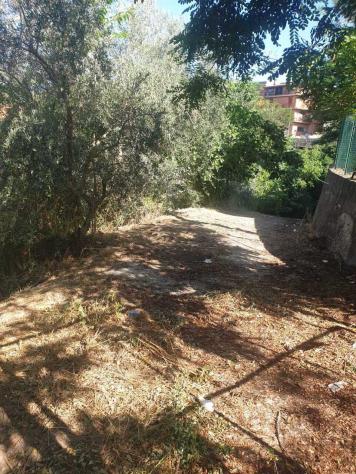Uliveto in vendita a Morlupo